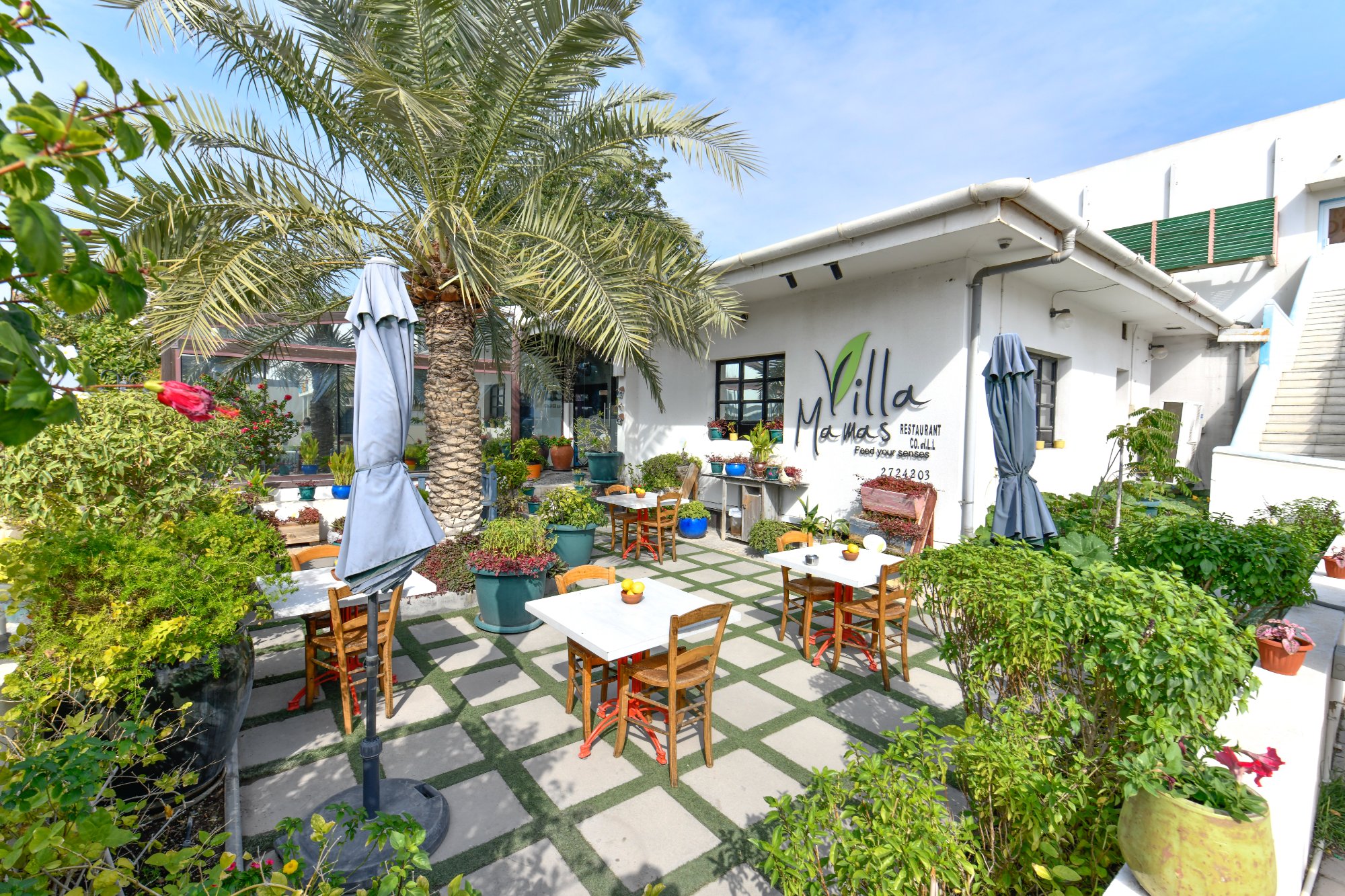 Villa Mamas Bahrain garden courtyard with palm tree and outdoor tables
